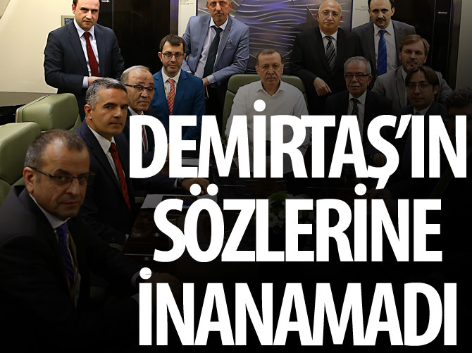 Demirtaş'ın sözlerine Erdoğan inanamadı
