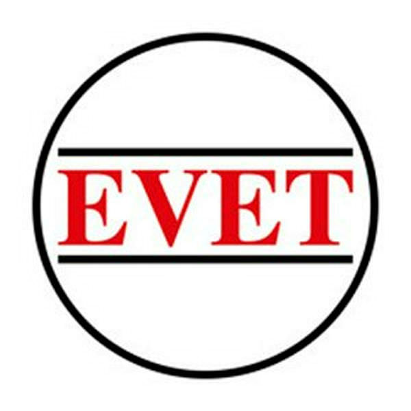 Cumhurbaşkanlığı sistemi neden gerekli?
