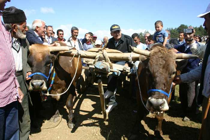 Fotoğraflarla Binali Yıldırım