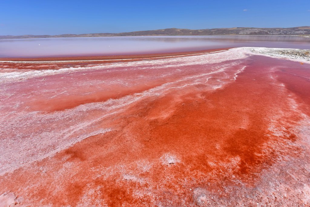 Фото Красной Воды